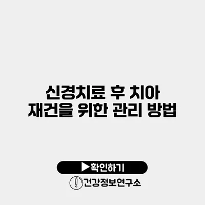 신경치료 후 치아 재건을 위한 관리 방법