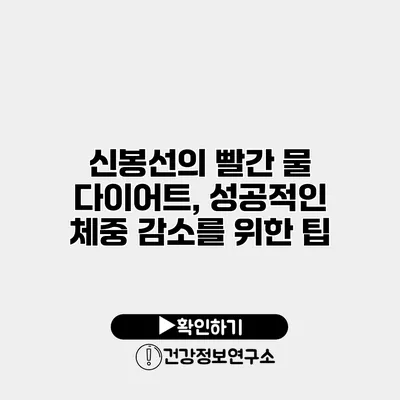 신봉선의 빨간 물 다이어트, 성공적인 체중 감소를 위한 팁