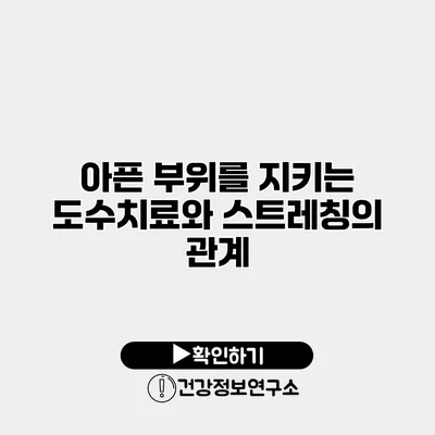 아픈 부위를 지키는 도수치료와 스트레칭의 관계