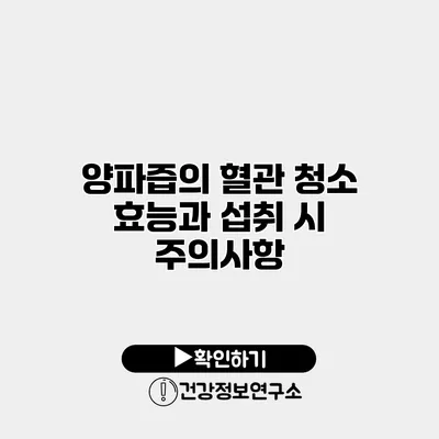 양파즙의 혈관 청소 효능과 섭취 시 주의사항