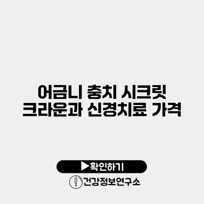 어금니 충치 시크릿 크라운과 신경치료 가격