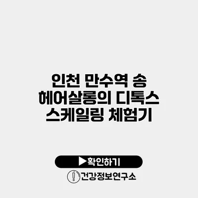 인천 만수역 송 헤어살롱의 디톡스 스케일링 체험기