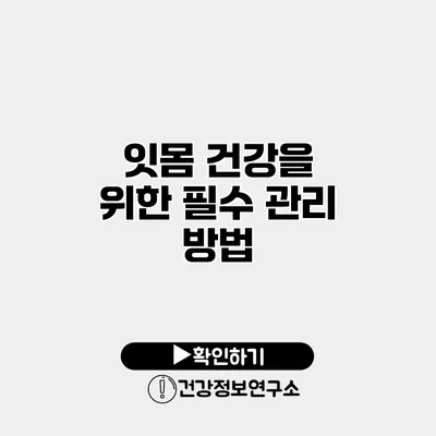 잇몸 건강을 위한 필수 관리 방법