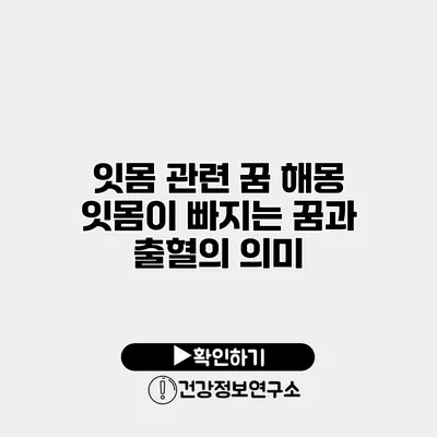 잇몸 관련 꿈 해몽 잇몸이 빠지는 꿈과 출혈의 의미