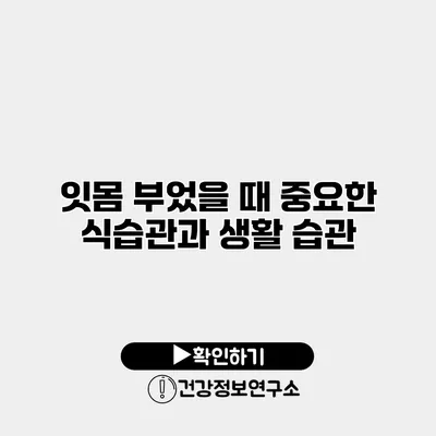 잇몸 부었을 때 중요한 식습관과 생활 습관