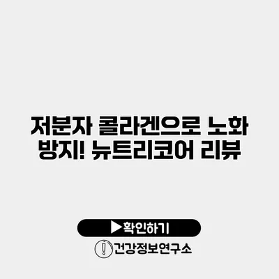 저분자 콜라겐으로 노화 방지! 뉴트리코어 리뷰