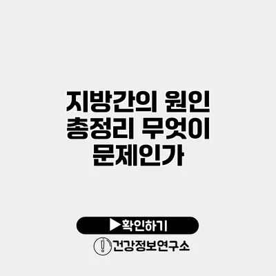 지방간의 원인 총정리 무엇이 문제인가?