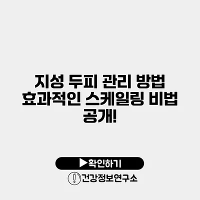 지성 두피 관리 방법 효과적인 스케일링 비법 공개!
