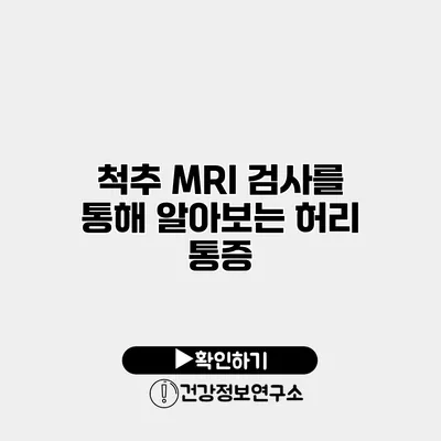 척추 MRI 검사를 통해 알아보는 허리 통증