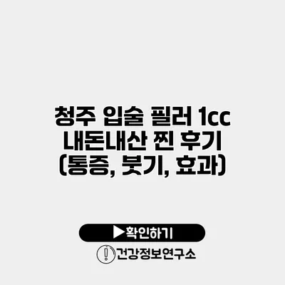 청주 입술 필러 1cc 내돈내산 찐 후기 (통증, 붓기, 효과)
