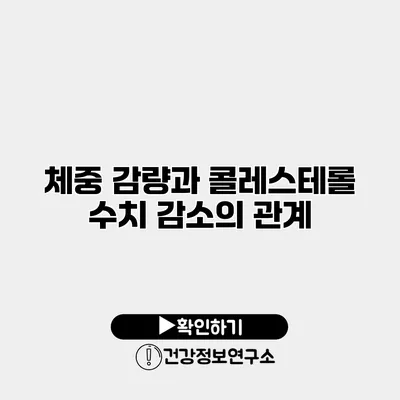 체중 감량과 콜레스테롤 수치 감소의 관계