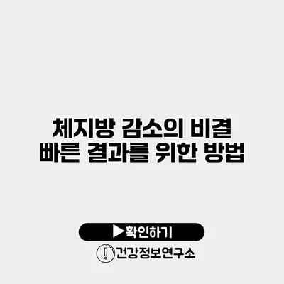 체지방 감소의 비결 빠른 결과를 위한 방법