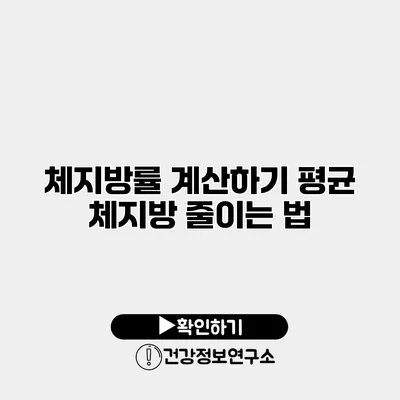 체지방률 계산하기 평균 체지방 줄이는 법