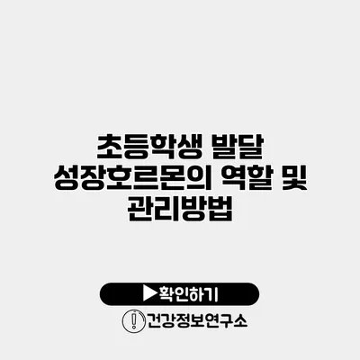 초등학생 발달 성장호르몬의 역할 및 관리방법