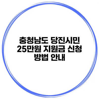 충청남도 당진시민 25만원 지원금 신청 방법 안내