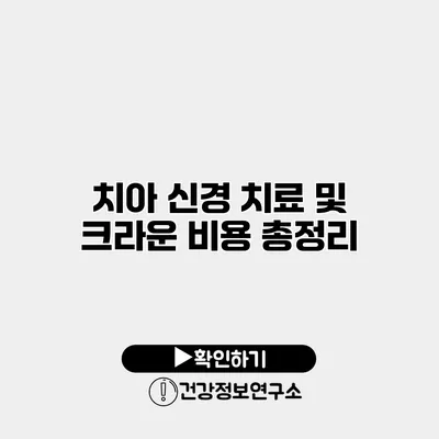 치아 신경 치료 및 크라운 비용 총정리