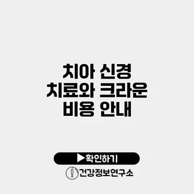 치아 신경 치료와 크라운 비용 안내