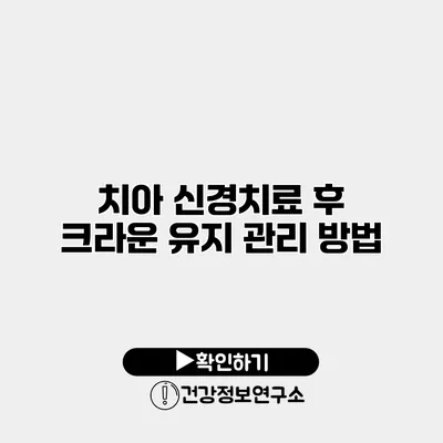 치아 신경치료 후 크라운 유지 관리 방법