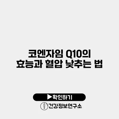 코엔자임 Q10의 효능과 혈압 낮추는 법