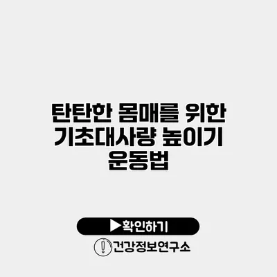 탄탄한 몸매를 위한 기초대사량 높이기 운동법