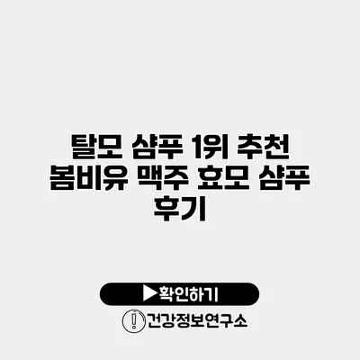 탈모 샴푸 1위 추천 봄비유 맥주 효모 샴푸 후기