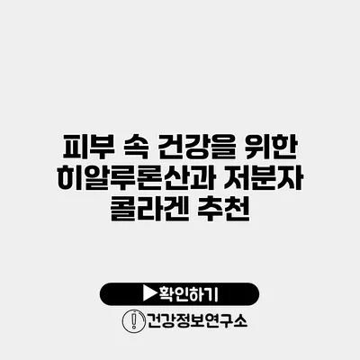 피부 속 건강을 위한 히알루론산과 저분자 콜라겐 추천