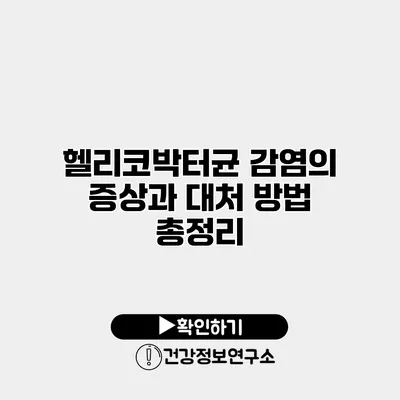헬리코박터균 감염의 증상과 대처 방법 총정리