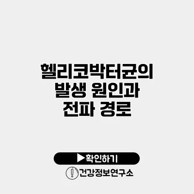 헬리코박터균의 발생 원인과 전파 경로