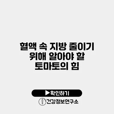 혈액 속 지방 줄이기 위해 알아야 할 토마토의 힘