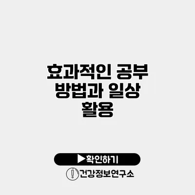 효과적인 공부 방법과 일상 활용