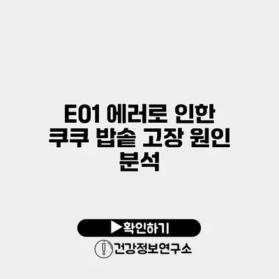 E01 에러로 인한 쿠쿠 밥솥 고장 원인 분석
