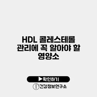 HDL 콜레스테롤 관리에 꼭 알아야 할 영양소