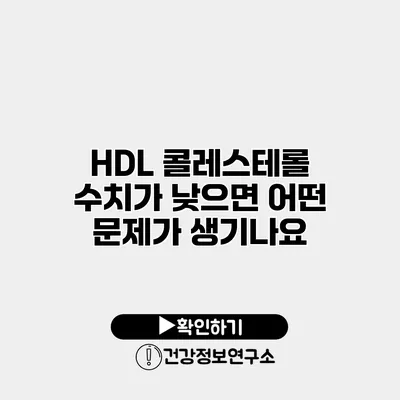 HDL 콜레스테롤 수치가 낮으면 어떤 문제가 생기나요?