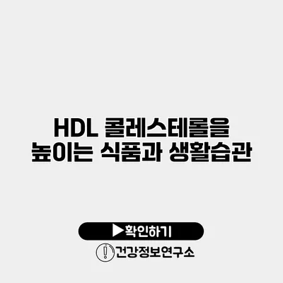 HDL 콜레스테롤을 높이는 식품과 생활습관
