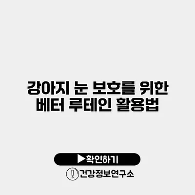 강아지 눈 보호를 위한 베터 루테인 활용법
