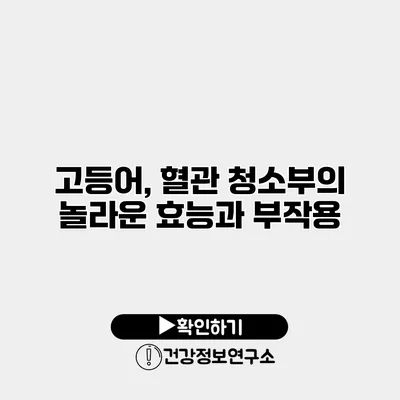 고등어, 혈관 청소부의 놀라운 효능과 부작용