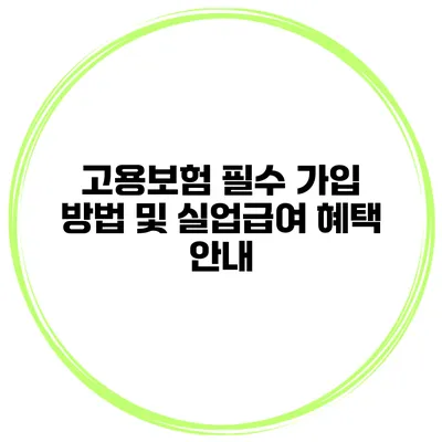 고용보험 필수 가입 방법 및 실업급여 혜택 안내