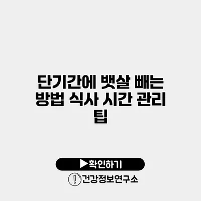 단기간에 뱃살 빼는 방법 식사 시간 관리 팁