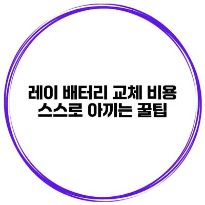 레이 배터리 교체 비용 스스로 아끼는 꿀팁