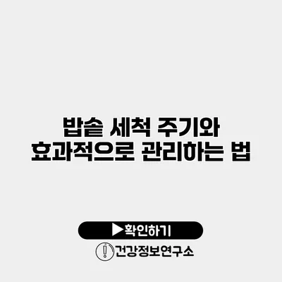 밥솥 세척 주기와 효과적으로 관리하는 법