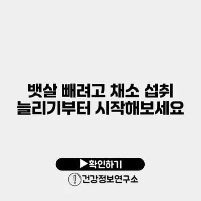 뱃살 빼려고? 채소 섭취 늘리기부터 시작해보세요