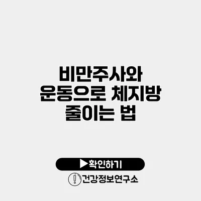 비만주사와 운동으로 체지방 줄이는 법