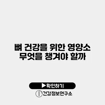 뼈 건강을 위한 영양소 무엇을 챙겨야 할까?