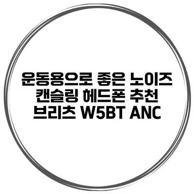 운동용으로 좋은 노이즈 캔슬링 헤드폰 추천 브리츠 W5BT ANC