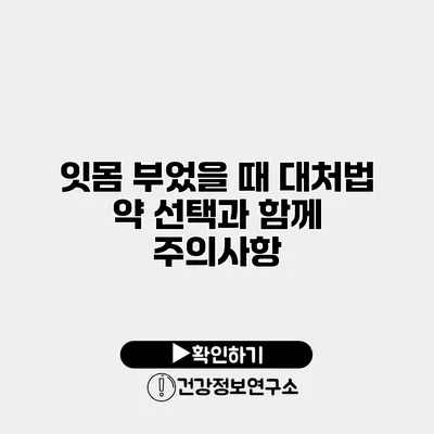 잇몸 부었을 때 대처법 약 선택과 함께 주의사항
