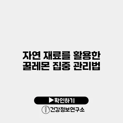 자연 재료를 활용한 꿀레몬 집중 관리법