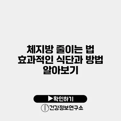 체지방 줄이는 법 효과적인 식단과 방법 알아보기