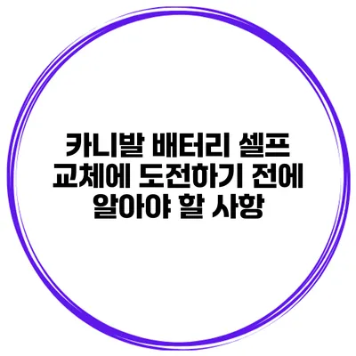 카니발 배터리 셀프 교체에 도전하기 전에 알아야 할 사항
