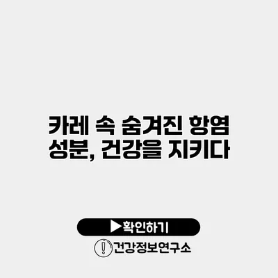 카레 속 숨겨진 항염 성분, 건강을 지키다
