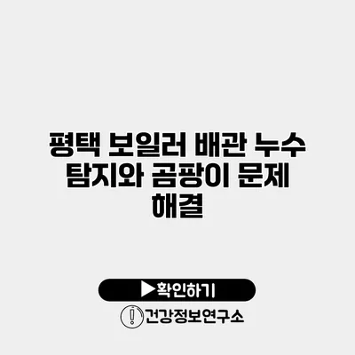 평택 보일러 배관 누수 탐지와 곰팡이 문제 해결